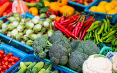 The Power of Pigment: Building A Colorful Plate