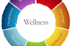 enneagram wellness