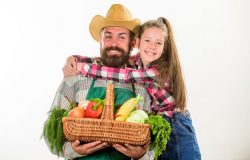 family-farm-organic-vegetables-farmers-family-homegrown-harvest-gardening-harvesting-father-farmer-gardener-daughte-130270567